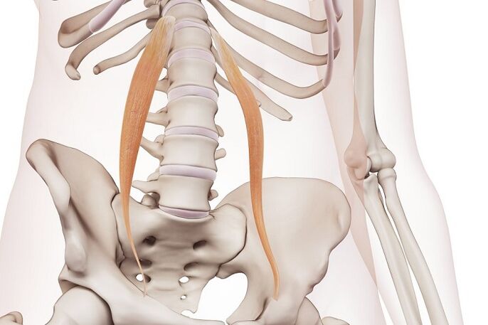vertebral osteochondrosis in the lumbar region the essence of the disease